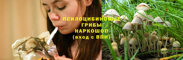 твердый Алексеевка