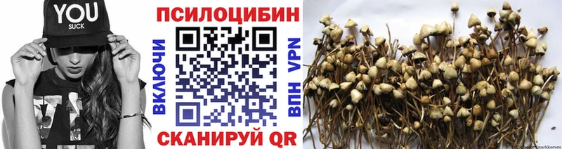 Галлюциногенные грибы GOLDEN TEACHER  Комсомольск 